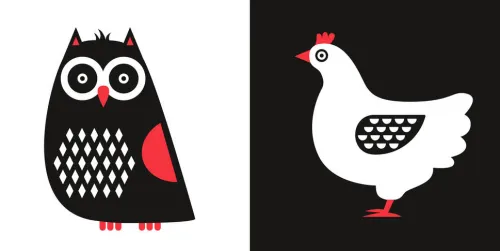 White Star Verlag 0-3 Jahre*Tiere schwarz-weiß-rot (Baby Montessori)