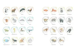 Bassermann, Edition Artbooks & Handbücher*Tiere zeichnen in 10 Minuten. 50 Tiere schnell und naturgetreu gezeichnet