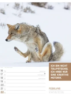 Ackermann Kunstverlag Wochenkalender*Tierisch Sprüchekalender Wochenplaner 2026