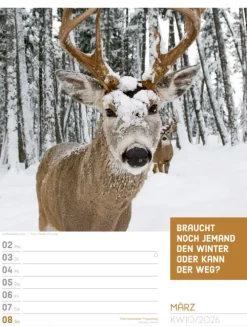Ackermann Kunstverlag Wochenkalender*Tierisch Sprüchekalender Wochenplaner 2026