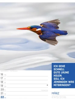 Ackermann Kunstverlag Wochenkalender*Tierisch Sprüchekalender Wochenplaner 2026