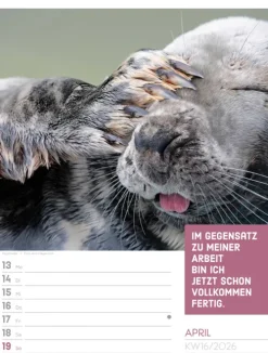 Ackermann Kunstverlag Wochenkalender*Tierisch Sprüchekalender Wochenplaner 2026