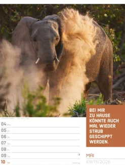 Ackermann Kunstverlag Wochenkalender*Tierisch Sprüchekalender Wochenplaner 2026