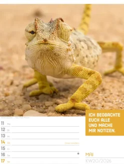 Ackermann Kunstverlag Wochenkalender*Tierisch Sprüchekalender Wochenplaner 2026