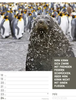 Ackermann Kunstverlag Wochenkalender*Tierisch Sprüchekalender Wochenplaner 2026