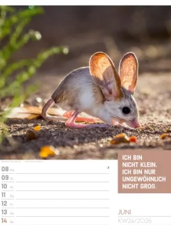 Ackermann Kunstverlag Wochenkalender*Tierisch Sprüchekalender Wochenplaner 2026