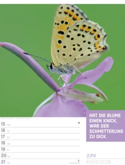 Ackermann Kunstverlag Wochenkalender*Tierisch Sprüchekalender Wochenplaner 2026