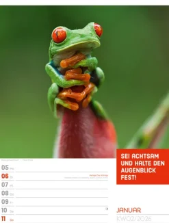 Ackermann Kunstverlag Wochenkalender*Tierisch Sprüchekalender Wochenplaner 2026