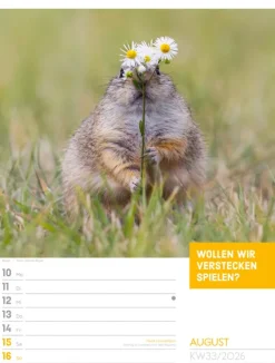Ackermann Kunstverlag Wochenkalender*Tierisch Sprüchekalender Wochenplaner 2026