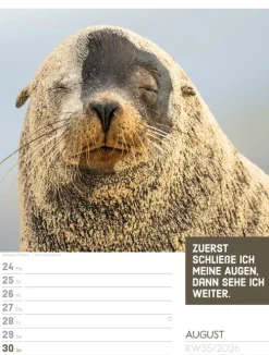 Ackermann Kunstverlag Wochenkalender*Tierisch Sprüchekalender Wochenplaner 2026