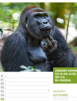 Ackermann Kunstverlag Wochenkalender*Tierisch Sprüchekalender Wochenplaner 2026