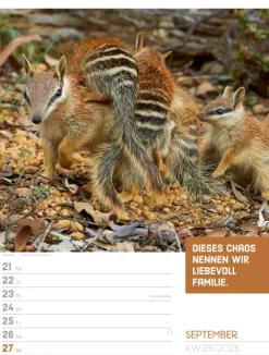 Ackermann Kunstverlag Wochenkalender*Tierisch Sprüchekalender Wochenplaner 2026