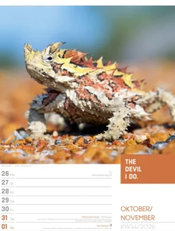 Ackermann Kunstverlag Wochenkalender*Tierisch Sprüchekalender Wochenplaner 2026