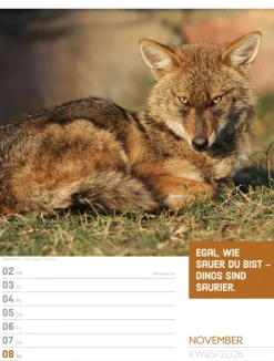 Ackermann Kunstverlag Wochenkalender*Tierisch Sprüchekalender Wochenplaner 2026