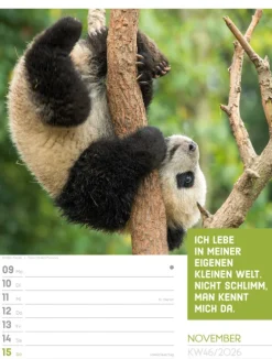 Ackermann Kunstverlag Wochenkalender*Tierisch Sprüchekalender Wochenplaner 2026