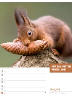 Ackermann Kunstverlag Wochenkalender*Tierisch Sprüchekalender Wochenplaner 2026
