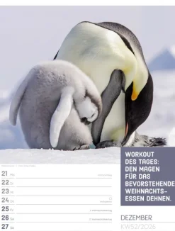 Ackermann Kunstverlag Wochenkalender*Tierisch Sprüchekalender Wochenplaner 2026