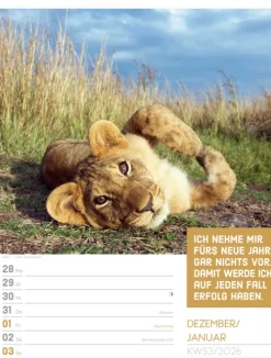 Ackermann Kunstverlag Wochenkalender*Tierisch Sprüchekalender Wochenplaner 2026