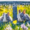 Heel Verlag GmbH Wandkalender-Tierkinder auf dem Bauernhof Kalender 2026