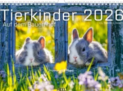Heel Verlag GmbH Wandkalender-Tierkinder auf dem Bauernhof Kalender 2026