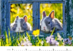 Heel Verlag GmbH Wandkalender-Tierkinder auf dem Bauernhof Kalender 2026