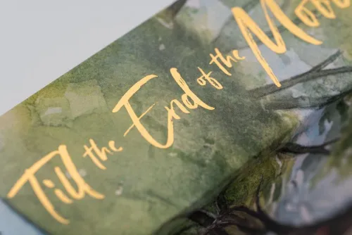 Bramble Hardcover Chinesischer Manga - Manhua*Till the End of the Moon 2