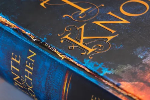 Tinte und Knochen - Die Magische Bibliothek*Heyne Verlag Outlet