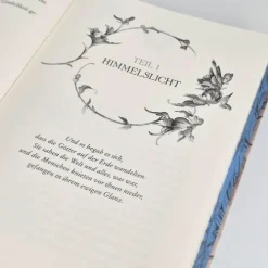 FISCHER Sauerländer Young Adult-To Tempt a God