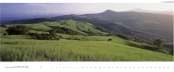 Edition Panorama GmbH Immerwährender Kalender*Toscana - Kalender immerwährend