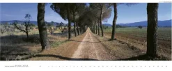 Edition Panorama GmbH Immerwährender Kalender*Toscana - Kalender immerwährend