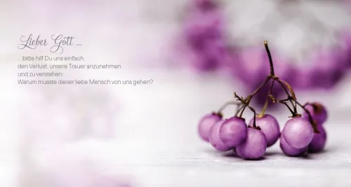 Trauerbuch für die Familie*Magdalenen-Verlag GmbH Clearance