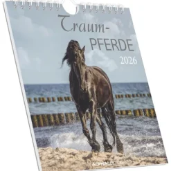 Traumpferde 2026 - Postkartenkalender 16x17 cm - Horses - zum Aufstellen oder Aufhängen - Monatskalendarium - Gadget - Mitbringsel - Alpha Edition*Neumann Verlage GmbH & Co Hot