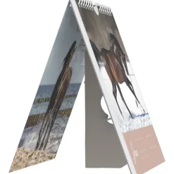 Traumpferde 2026 - Postkartenkalender 16x17 cm - Horses - zum Aufstellen oder Aufhängen - Monatskalendarium - Gadget - Mitbringsel - Alpha Edition*Neumann Verlage GmbH & Co Hot