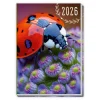 Trötsch Verlag GmbH Terminkalender*Trötsch Taschenkalender A7 Marienkäfer 2026