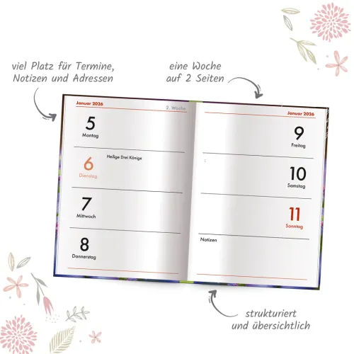 Trötsch Verlag GmbH Terminkalender*Trötsch Taschenkalender A7 Marienkäfer 2026