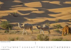 Tunesien Kalender 2026 - Wandkalender | Fotokalender Afrika 24x35 cm: Hochwertige Fotos, die die Kultur, Landschaften und Sehenswürdigkeiten Tunesiens zeigen.*Casares Fine Art Edition New