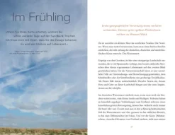 Knesebeck Von Dem GmbH Reiseberichte-Und an den Rändern nagt das Meer