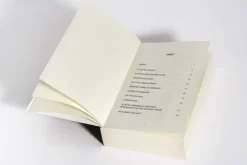 Heyne Taschenbuch Politthriller*Unschuldig