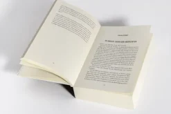 Heyne Taschenbuch Politthriller*Unschuldig