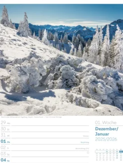 Ackermann Kunstverlag Wochenkalender-Unser Wald Wochenplaner Kalender 2026