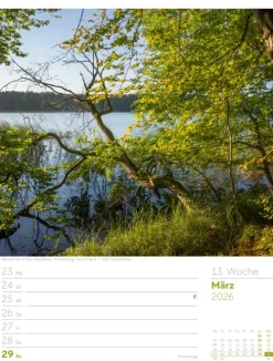 Ackermann Kunstverlag Wochenkalender-Unser Wald Wochenplaner Kalender 2026