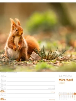 Ackermann Kunstverlag Wochenkalender-Unser Wald Wochenplaner Kalender 2026