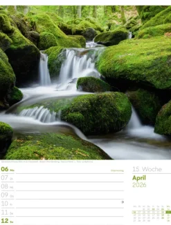 Ackermann Kunstverlag Wochenkalender-Unser Wald Wochenplaner Kalender 2026