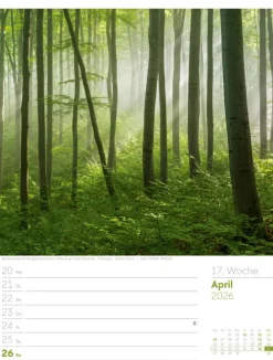 Ackermann Kunstverlag Wochenkalender-Unser Wald Wochenplaner Kalender 2026
