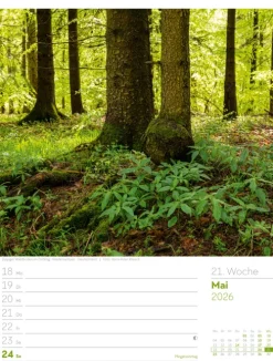 Ackermann Kunstverlag Wochenkalender-Unser Wald Wochenplaner Kalender 2026