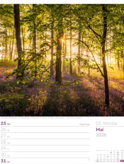 Ackermann Kunstverlag Wochenkalender-Unser Wald Wochenplaner Kalender 2026