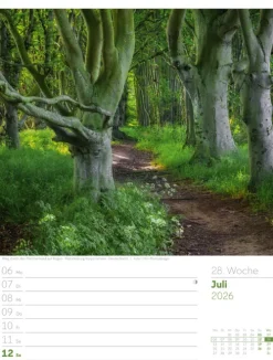 Ackermann Kunstverlag Wochenkalender-Unser Wald Wochenplaner Kalender 2026