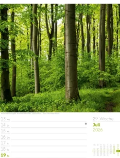 Ackermann Kunstverlag Wochenkalender-Unser Wald Wochenplaner Kalender 2026