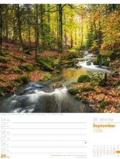 Ackermann Kunstverlag Wochenkalender-Unser Wald Wochenplaner Kalender 2026