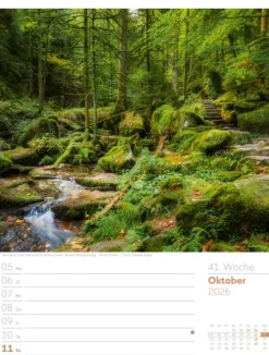Ackermann Kunstverlag Wochenkalender-Unser Wald Wochenplaner Kalender 2026